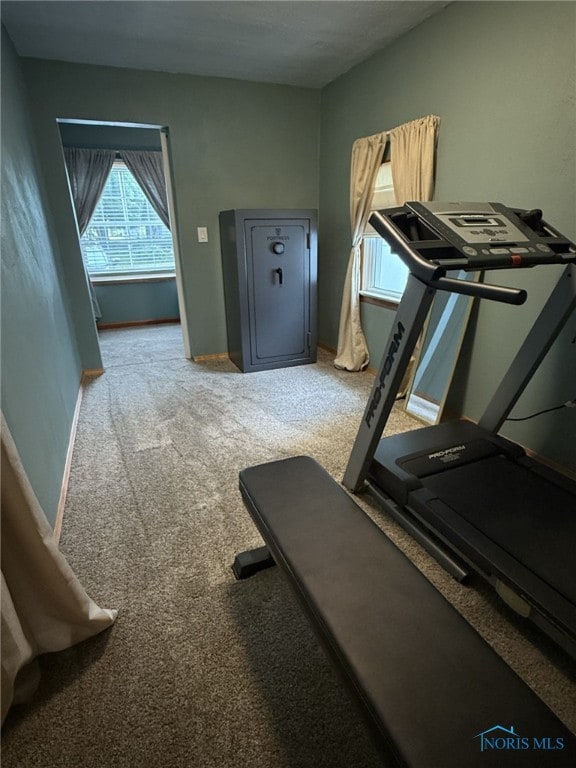 441 S Pine St, Deshler, OH 43516 - workout room with carpet floors and baseboards