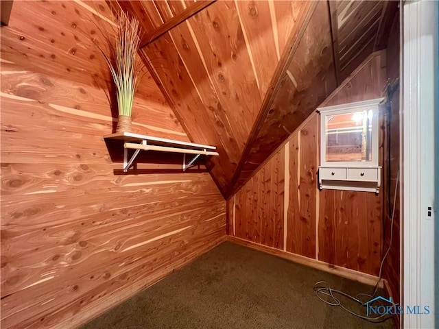 1810 E Broadway St, Toledo, OH 43605 - walk in closet with lofted ceiling and carpet flooring