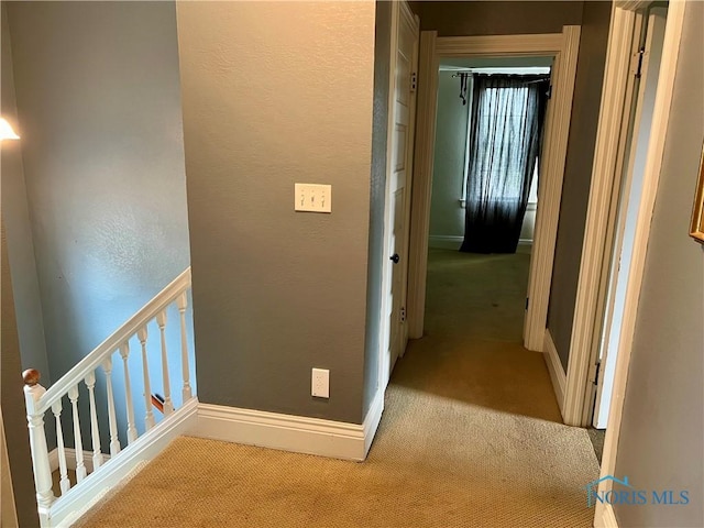 1810 E Broadway St, Toledo, OH 43605 - hall featuring carpet and a textured wall
