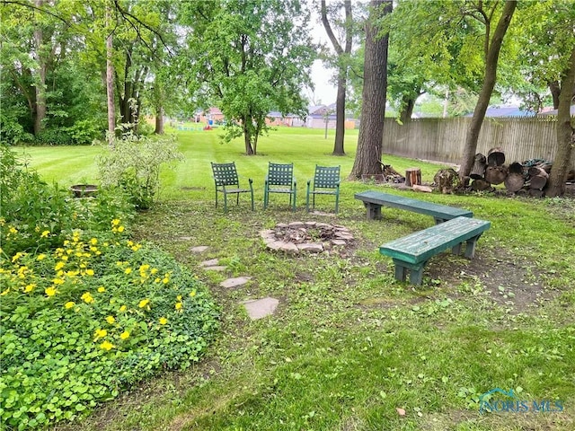1810 E Broadway St, Toledo, OH 43605 - view of yard