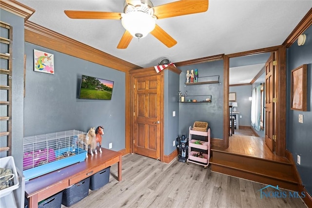 2617 Shetland Rd, Toledo, OH 43617 - interior space featuring wood finished floors, crown molding, and ceiling fan