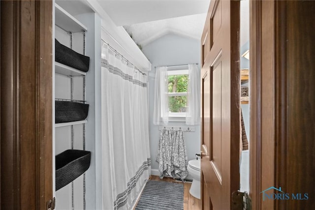 2617 Shetland Rd, Toledo, OH 43617 - full bath featuring wood finished floors, lofted ceiling, and a shower with curtain