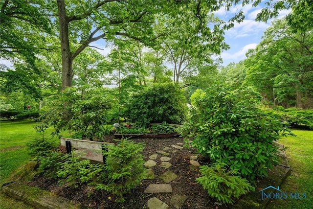 2617 Shetland Rd, Toledo, OH 43617 - view of green lawn