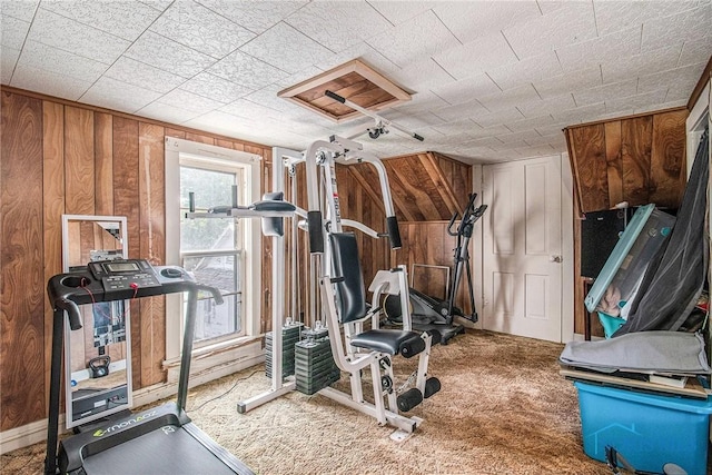 130 S 1st St, Hamler, OH 43524 - workout room featuring carpet flooring and wooden walls