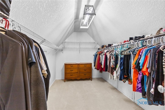 14285 Cuckle Creek Rd, Bowling Green, OH 43402 - walk in closet with carpet and lofted ceiling