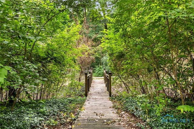 14285 Cuckle Creek Rd, Bowling Green, OH 43402 - view of home's community featuring a forest view