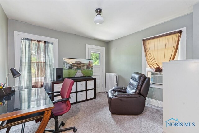 2535 Parkwood Ave, Toledo, OH 43610 - photo 32