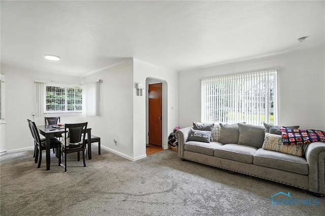 1732 Gilbert Rd, Toledo, OH 43614 - living room featuring arched walkways and carpet floors