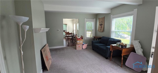 234 W Dudley St, Maumee, OH 43537 - photo 10