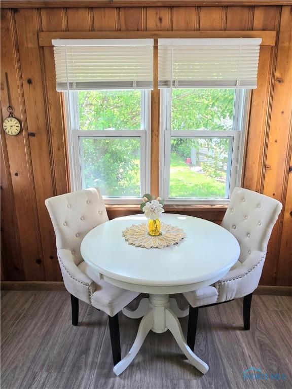 1723 Balkan Pl, Toledo, OH 43613 - dining space featuring wood finished floors and healthy amount of natural light