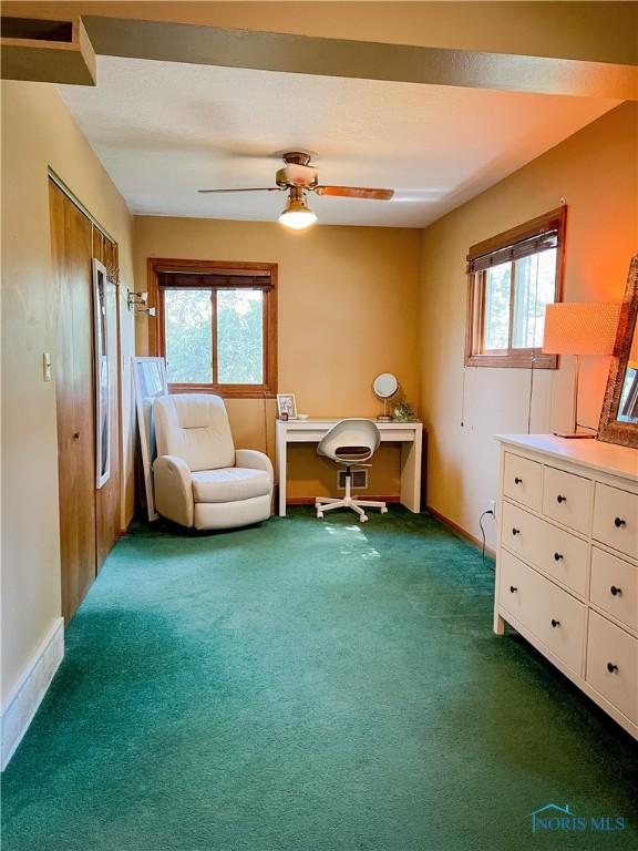 2435 Lark Ave, Toledo, OH 43613 - photo 10