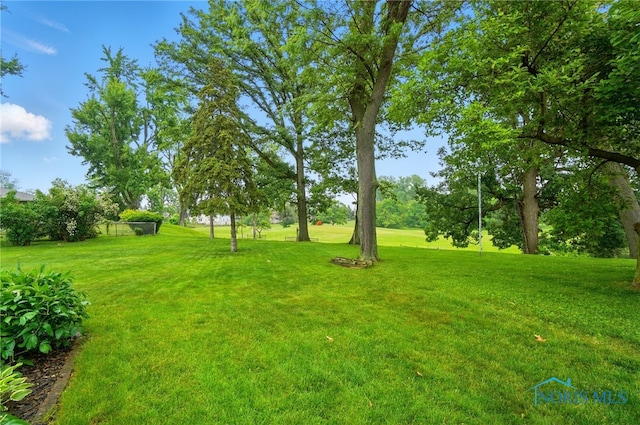 2519 Melva Ct, Toledo, OH 43611 - view of grassy yard