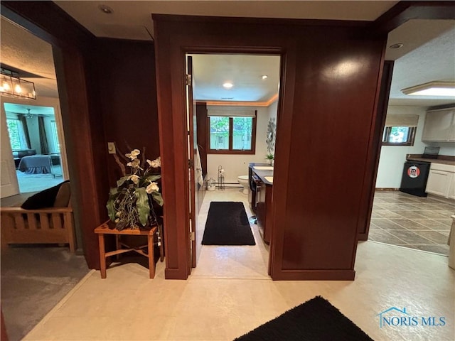 217 Willow Way, Archbold, OH 43502 - photo 34