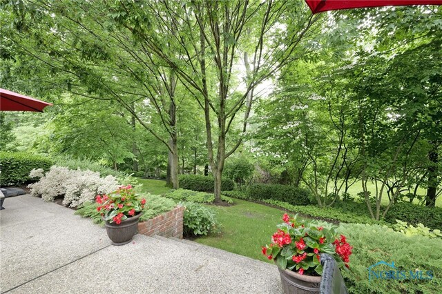 3547 Hill River Dr, Toledo, OH 43615 - photo 31