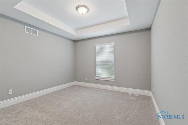 4382 Morgan Pl, Perrysburg, OH 43551 - unfurnished room with a tray ceiling and carpet floors