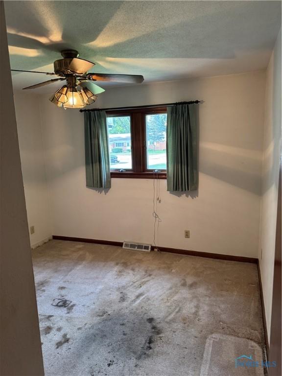 213 Hickory St, Swanton, OH 43558 - photo 9
