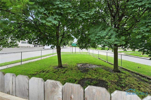 356 S Belmore St, Leipsic, OH 45856 - view of yard