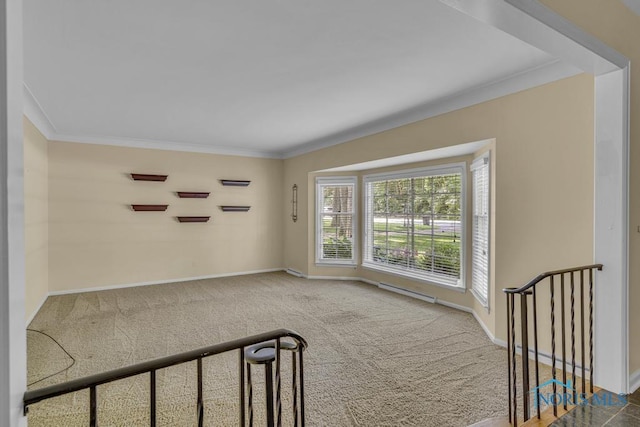 3432 Corey Rd, Toledo, OH 43615 - unfurnished room with crown molding and carpet flooring