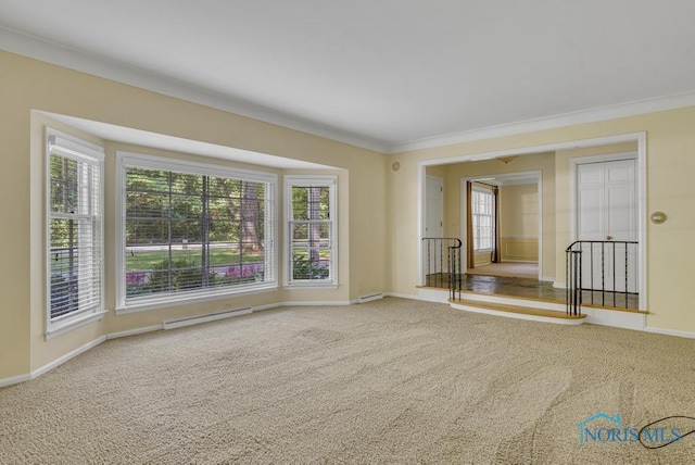 3432 Corey Rd, Toledo, OH 43615 - carpeted spare room with ornamental molding and baseboards