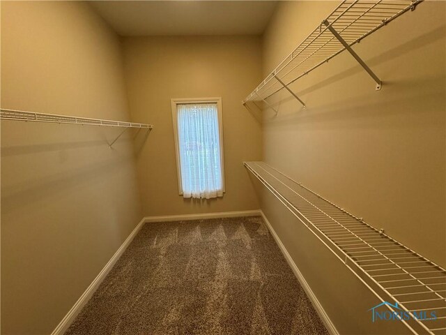 5346 Palisades Dr, Sylvania, OH 43560 - walk in closet with carpet flooring