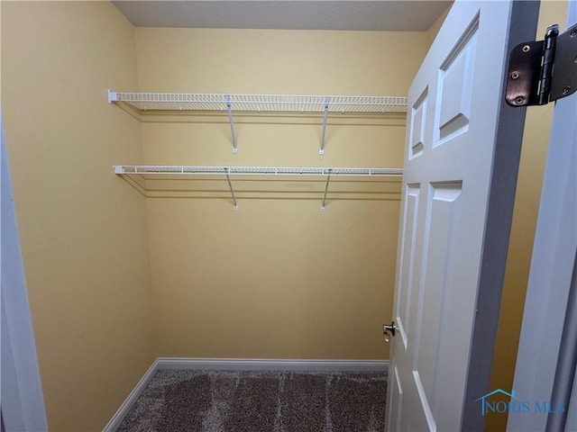 5346 Palisades Dr, Sylvania, OH 43560 - spacious closet with carpet