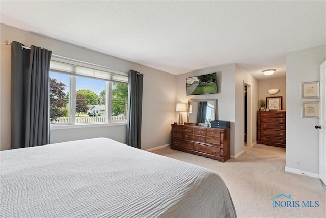 735 Hemlock St, Wauseon, OH 43567 - bedroom featuring light colored carpet and baseboards