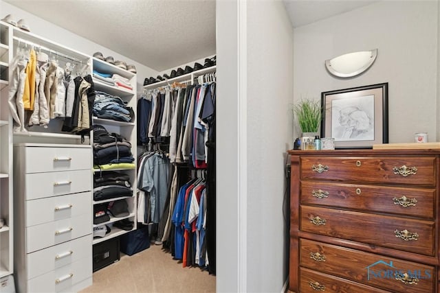 735 Hemlock St, Wauseon, OH 43567 - walk in closet with carpet floors