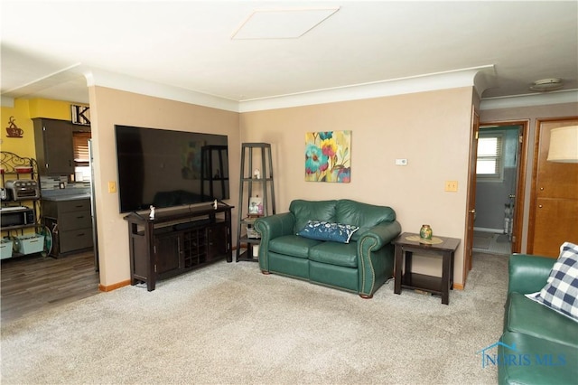 1118 5th St, Findlay, OH 45840 - living area with light carpet
