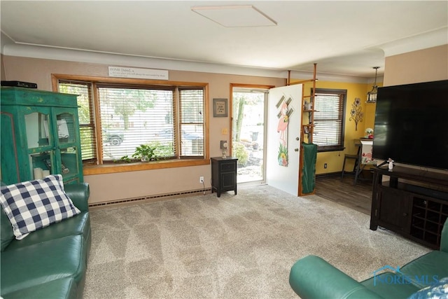 1118 5th St, Findlay, OH 45840 - living area with a baseboard radiator, healthy amount of natural light, and carpet