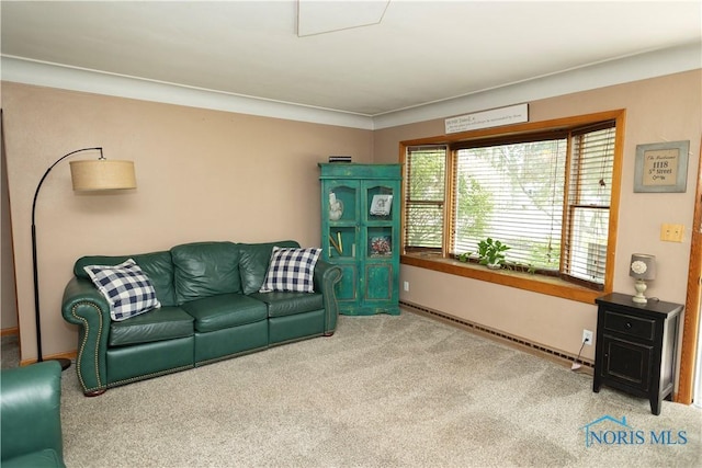 1118 5th St, Findlay, OH 45840 - living room featuring carpet and baseboards