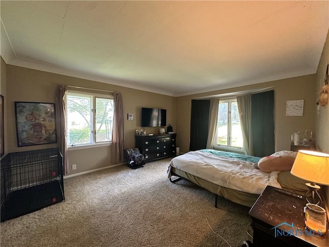 101 Maplewood Dr, Pandora, OH 45877 - carpeted bedroom with multiple windows and ornamental molding