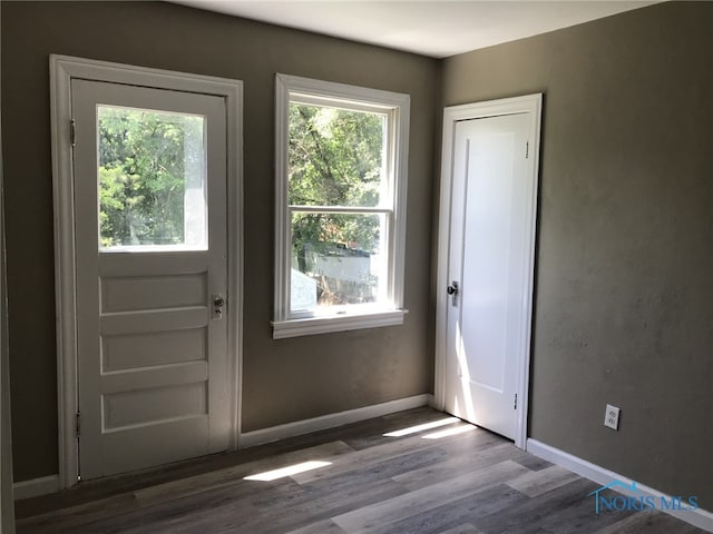 422 E Lake St, Toledo, OH 43608 - entryway featuring wood finished floors