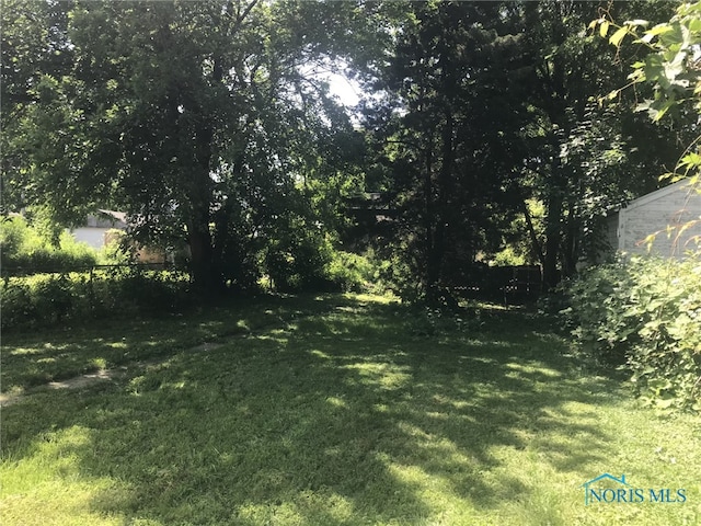 422 E Lake St, Toledo, OH 43608 - view of yard