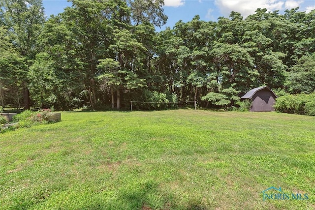 7948 Holstein Rd, Toledo, OH 43617 - view of green lawn featuring a storage unit and a wooded view