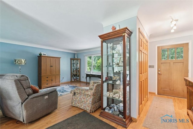 7948 Holstein Rd, Toledo, OH 43617 - living room featuring light wood finished floors