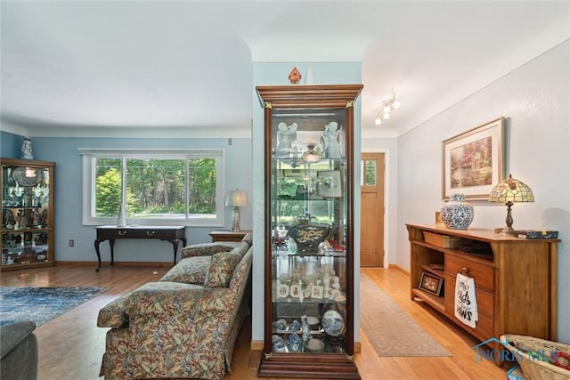 7948 Holstein Rd, Toledo, OH 43617 - living room featuring wood finished floors and baseboards