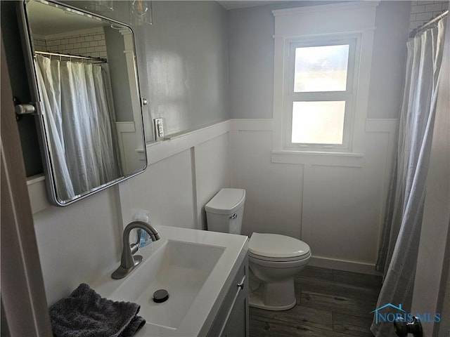 13876 Kay St, Paulding, OH 45879 - full bathroom with vanity, a wainscoted wall, wood finished floors, a decorative wall, and a shower with shower curtain