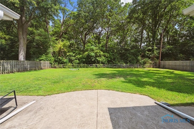 3640 Brock Dr, Toledo, OH 43623 - photo 47