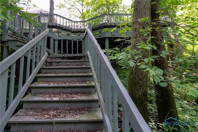 5301 River Oaks Ct, Sylvania, OH 43560 - view of stairs