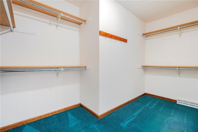 5301 River Oaks Ct, Sylvania, OH 43560 - spacious closet featuring carpet flooring