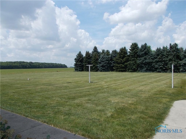 2971 County Road 12, Wauseon, OH 43567 - view of grassy yard