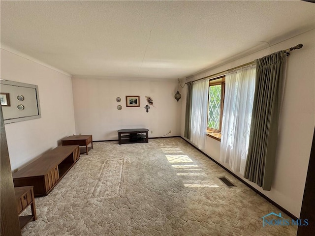 410 E Bartlow St, Deshler, OH 43516 - unfurnished room with carpet flooring and a textured ceiling