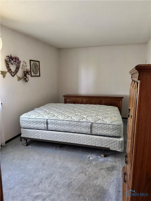 410 E Bartlow St, Deshler, OH 43516 - view of carpeted bedroom