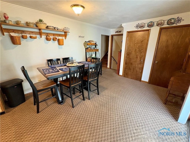10 Pinewood Dr, Tiffin, OH 44883 - photo 11