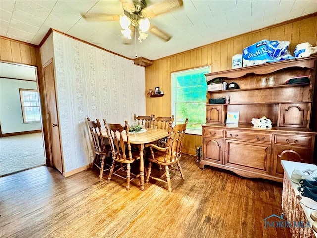 620 Division St, Defiance, OH 43512 - dining space featuring wood finished floors, ceiling fan, wooden walls, and ornamental molding