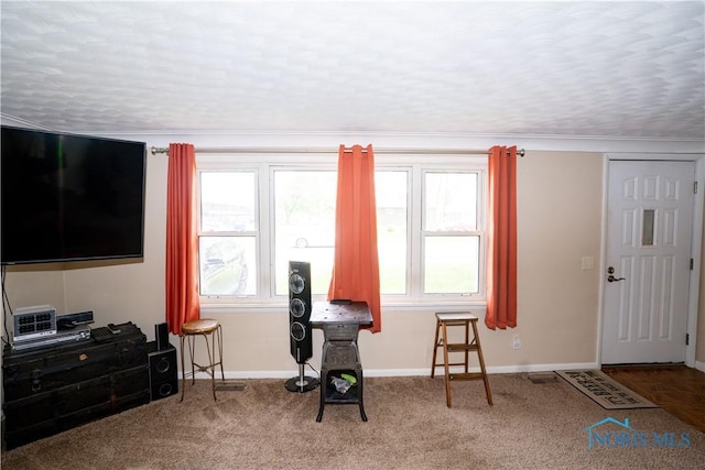 317 E Rosewood Ave, Defiance, OH 43512 - sitting room featuring healthy amount of natural light and carpet floors
