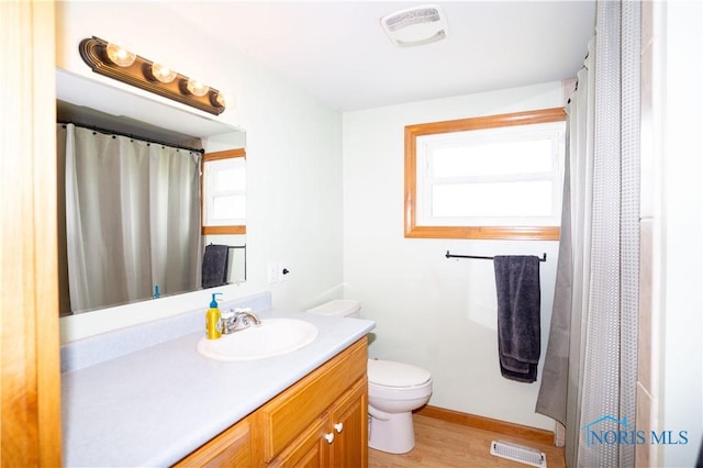 317 E Rosewood Ave, Defiance, OH 43512 - bathroom featuring vanity, plenty of natural light, wood finished floors, and a shower with shower curtain