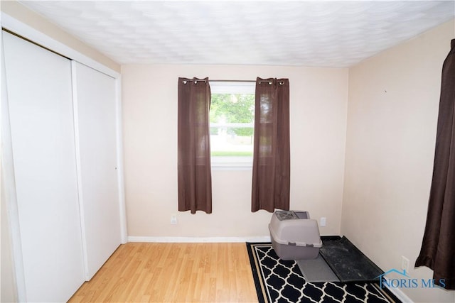 317 E Rosewood Ave, Defiance, OH 43512 - living area featuring light wood finished floors and baseboards