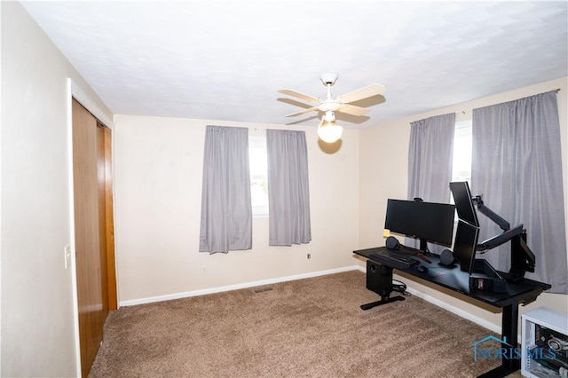 317 E Rosewood Ave, Defiance, OH 43512 - office space featuring carpet and ceiling fan