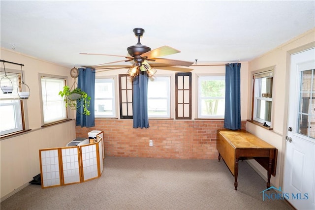 317 E Rosewood Ave, Defiance, OH 43512 - view of sunroom / solarium